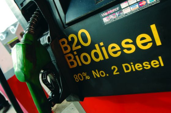 Дайджест Капитали$та «Финансовая свобода» №3: Поможет ли биотопливо экономике Украины