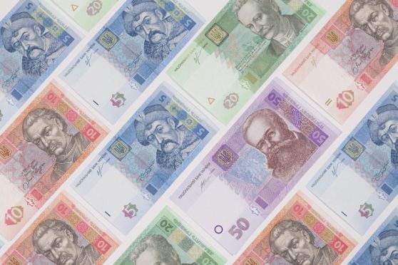 Украинский бизнес закладывает на 2019 год стоимость американского доллара на уровне 30 гривен
